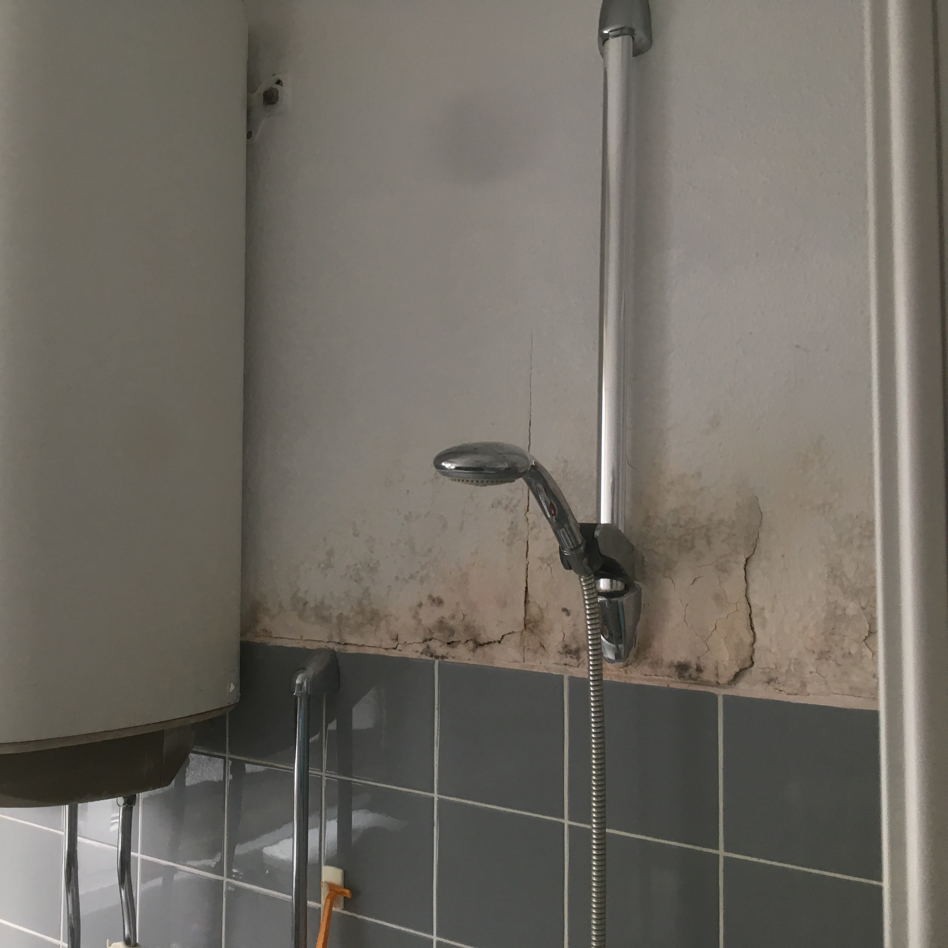 Schimmelsanierung Schimmelsanierung